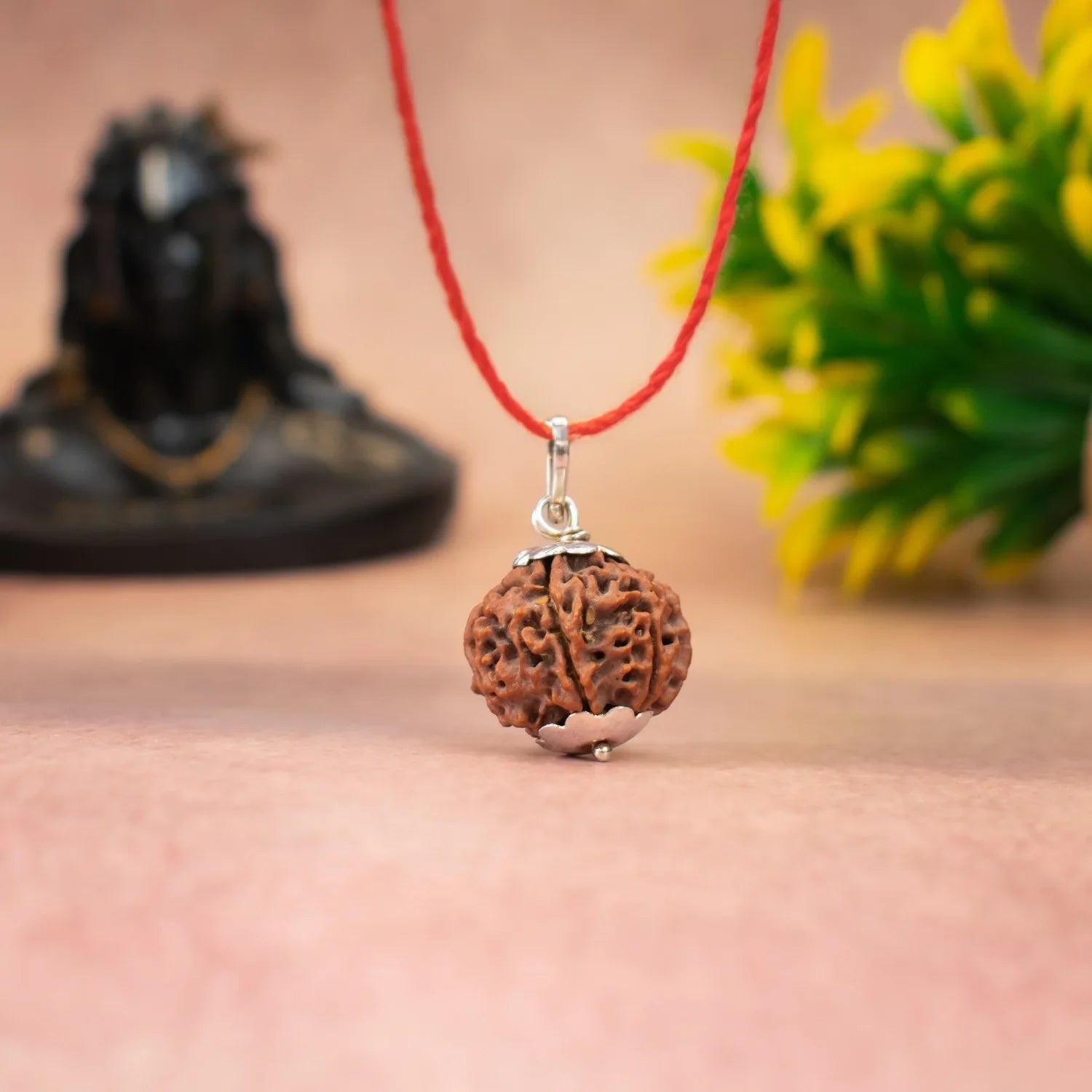 Nepal Origin 6 Mukhi Rudraksha