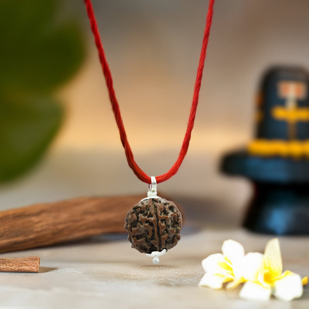 Nepal Origin 5 Mukhi Rudraksha (Silver Capped)