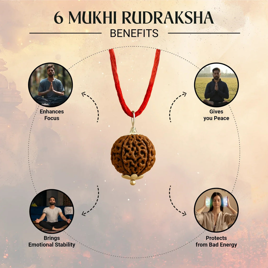 Nepal Origin 6 Mukhi Rudraksha