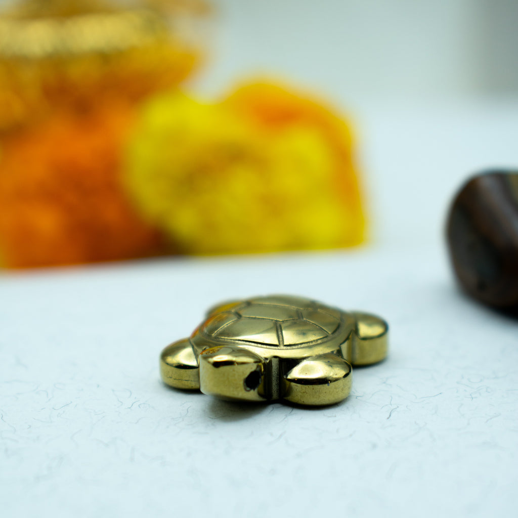 Money Magnet Tortoise