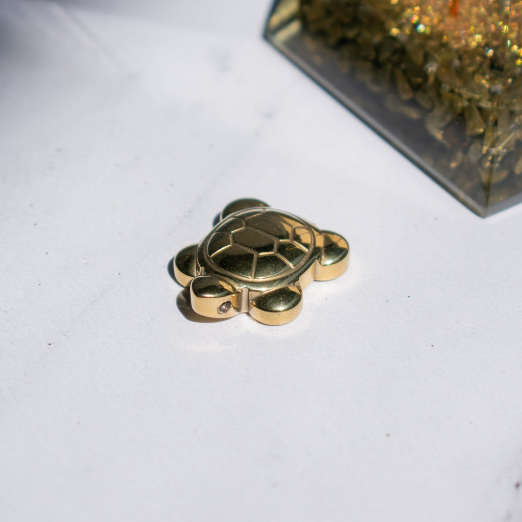 Money Magnet Tortoise